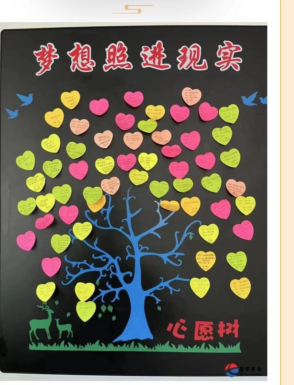 信宇騰遠(yuǎn)2023年“我與信宇共成長“主題分享活動(dòng)圓滿召開